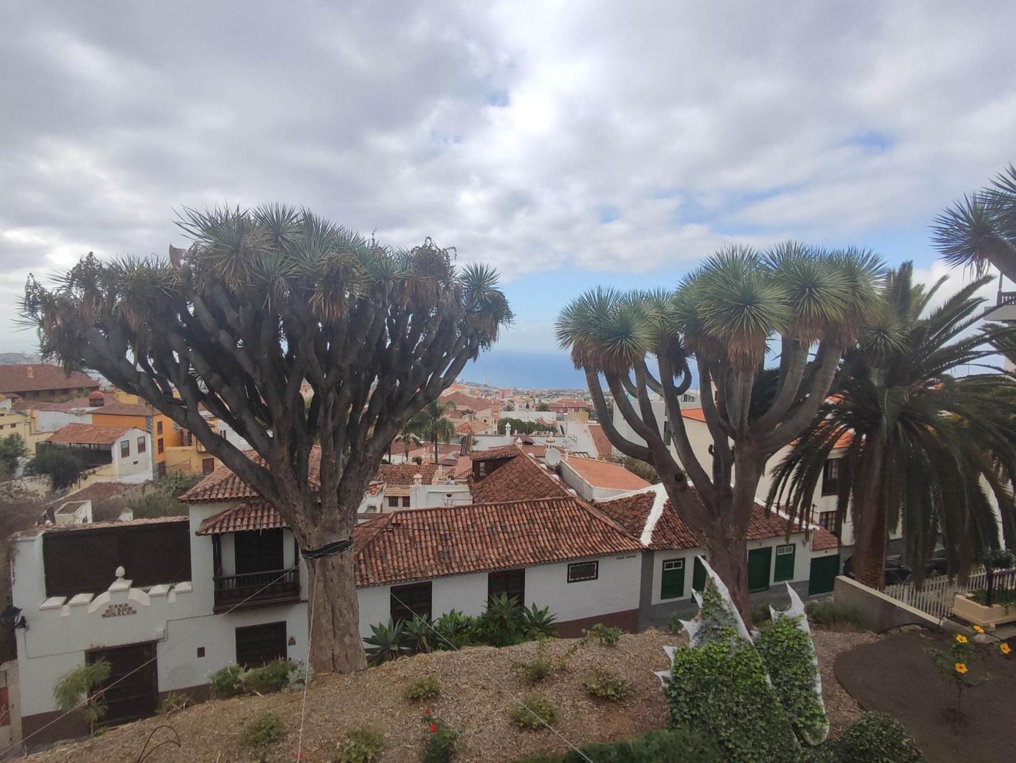 דירות לה אורוטבה Casa Ruth Centro Orotava חדר תמונה